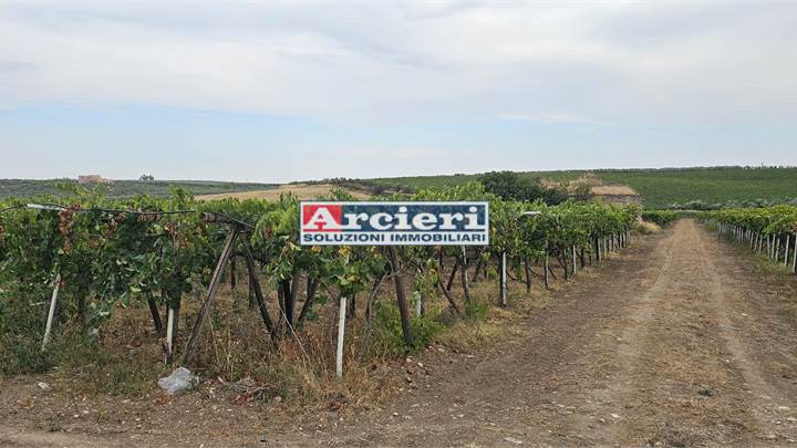 TERRENO AGRICOLO A CERIGNOLA – VIA CANDELA